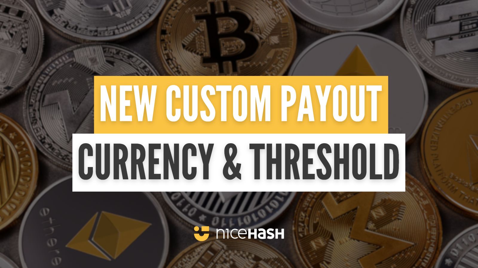 nicehash bitcoin payout